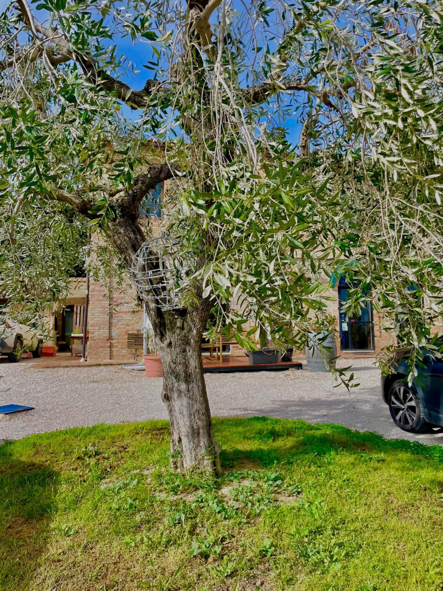 Masseria Tattoni - Residenza Di Campagna - Narramondo Villas Bellante Eksteriør bilde